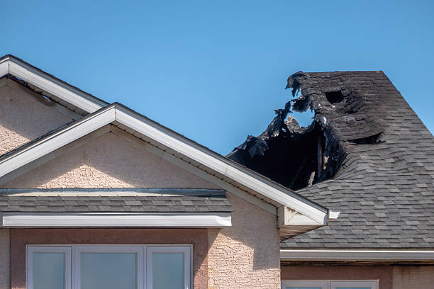 Top rated local Fire Board Up specialists in Somerville, TX